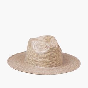 Palma fedora -lack of color